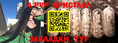 молекула духа Кингисепп
