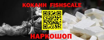 молекула духа Кингисепп