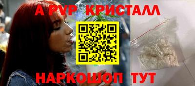 молекула духа Кингисепп