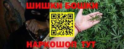 молекула духа Кингисепп