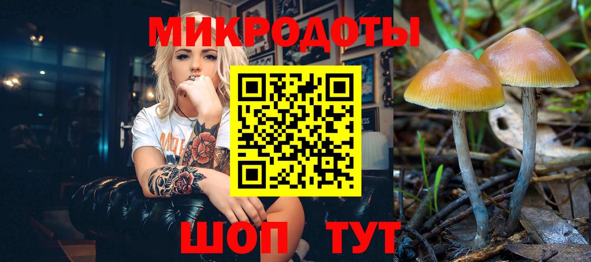 Заводоуковск  Псилоцибиновые грибы Magic Shrooms  Вход с VPN 